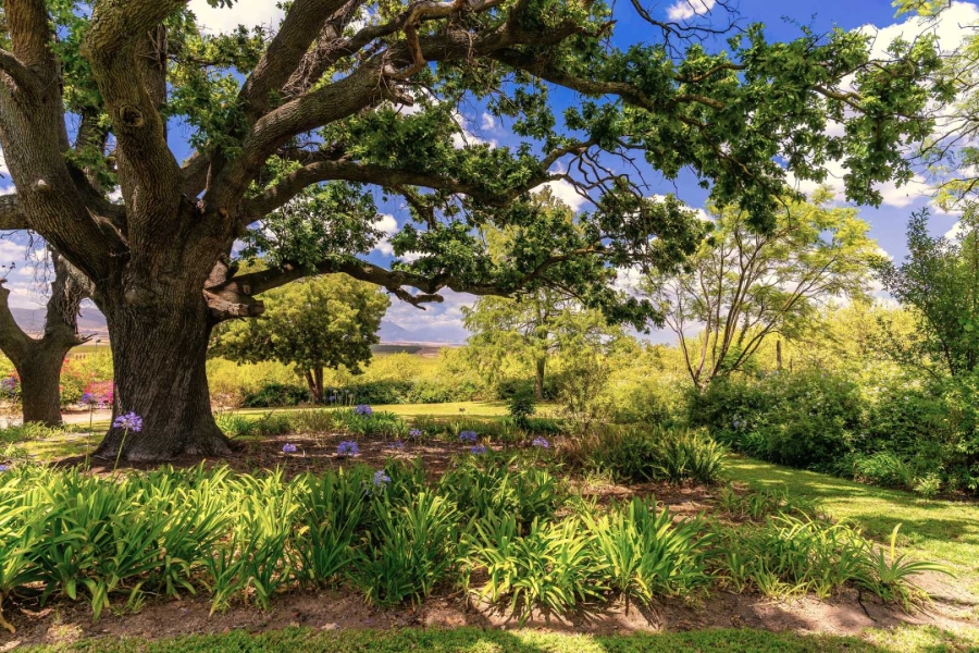 5 Bedroom Property for Sale in Paarl Rural Western Cape